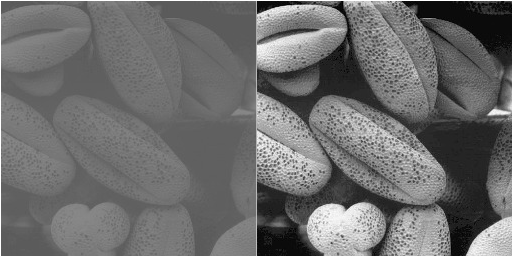 Contrast stretching example