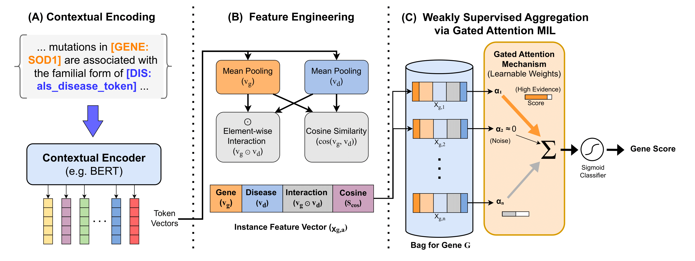 Gene similarity network for ALS